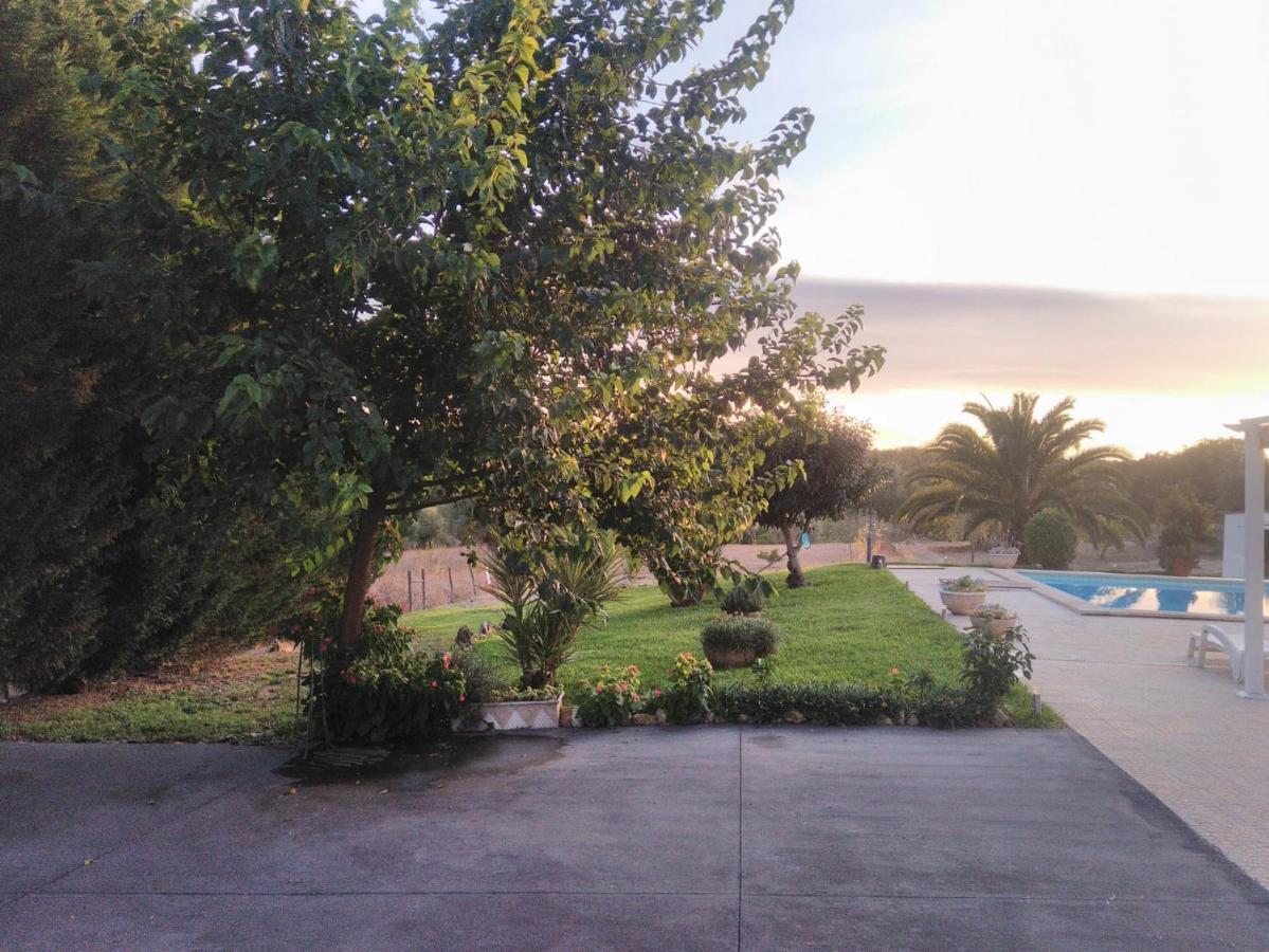 Quinta Da Perdiz Country House Βίλα Santarém Εξωτερικό φωτογραφία